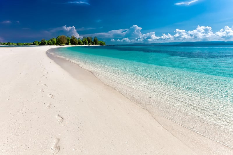 Tropical Paradise Cocktail
