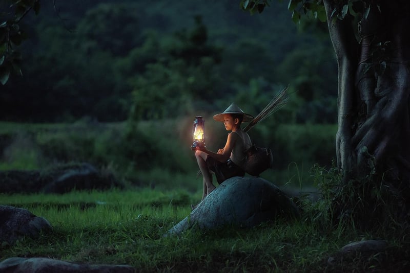Garden lantern lights